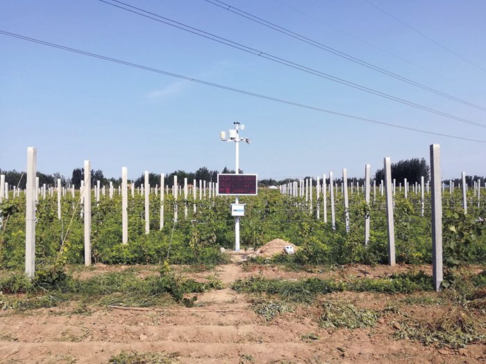 1704853326108384.jpg 氣象站 (28).jpg